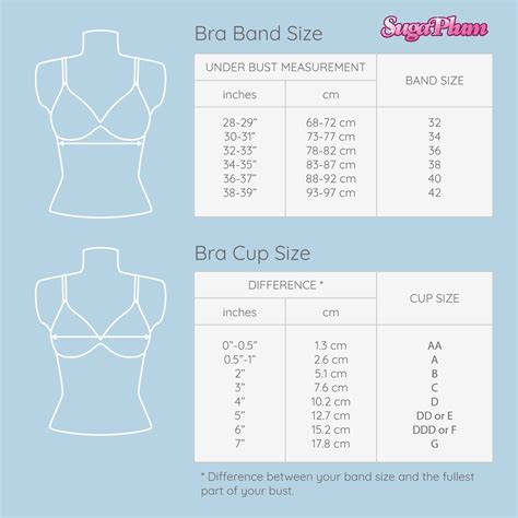 o cup titties|Finally, Bra Sizes Explained – Understanding How Bra And Cup。